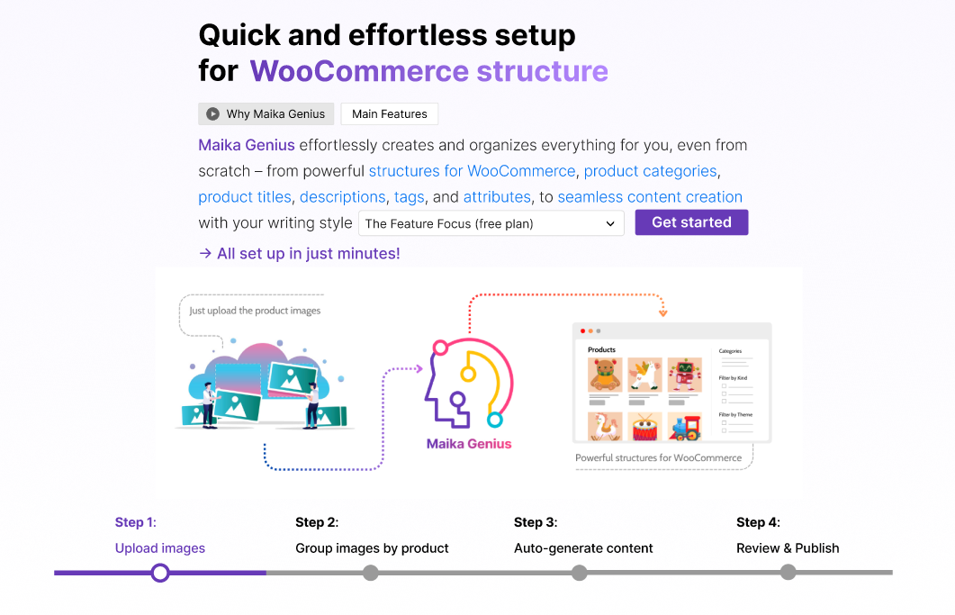 Shop Structure - Category & Attribute Optimization