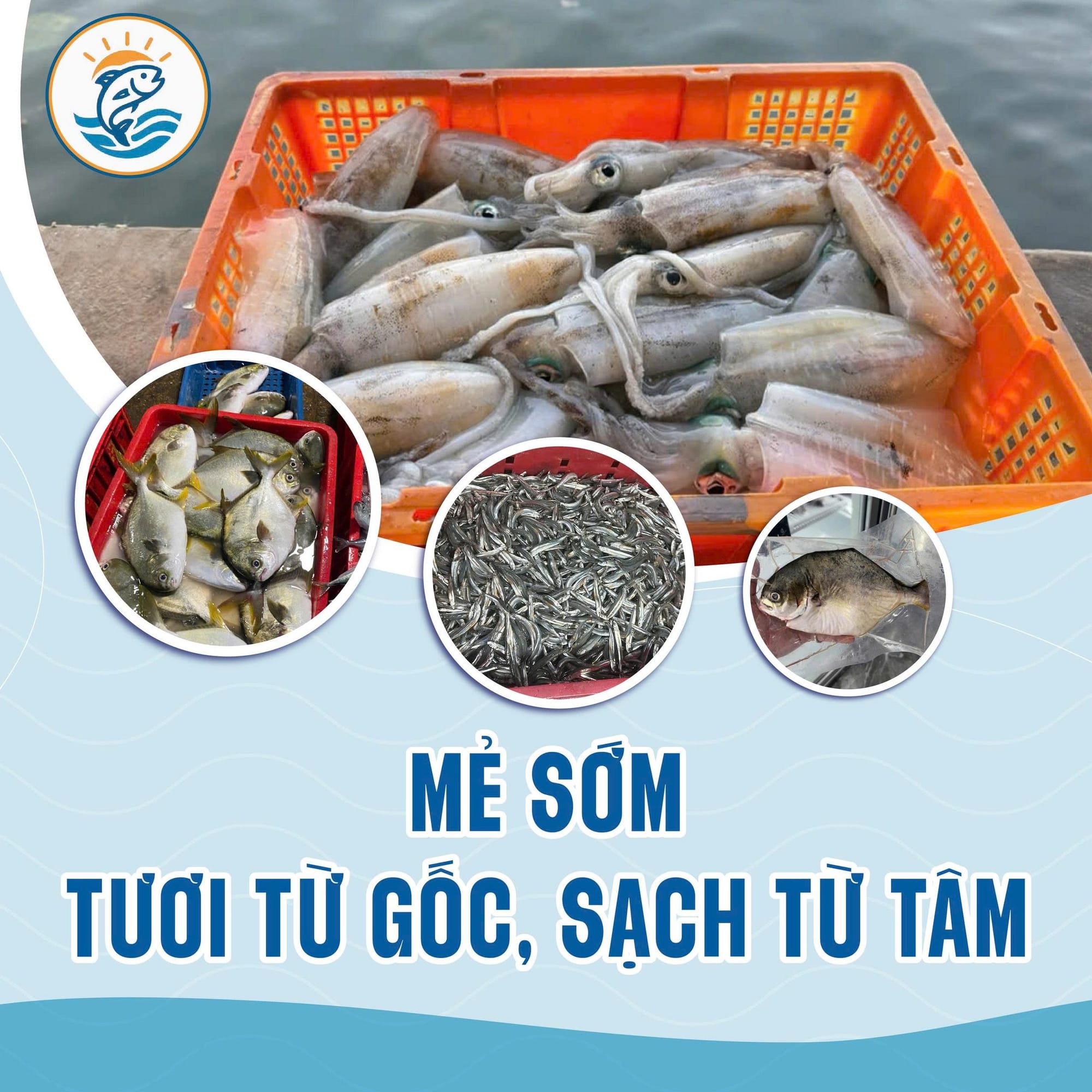 From 'Catch of the Day' to 'Sold in Minutes': How MAIKA Revolutionized Fresh Food E-commerce (A Customer Success Story)