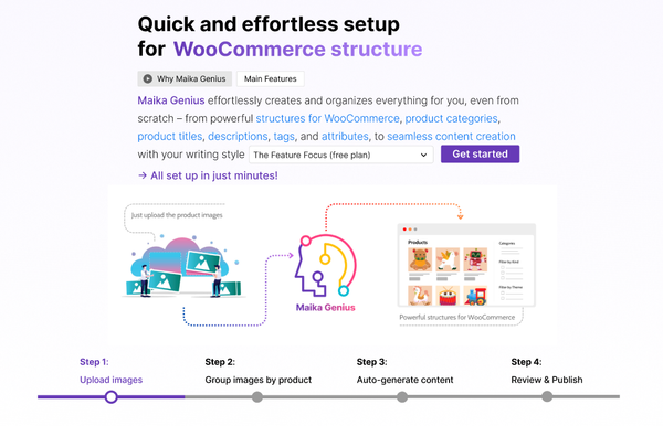 Shop Structure - Category & Attribute Optimization